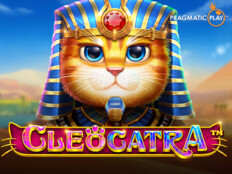 Cat casino4